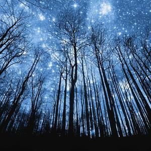 Meet your Posher, Shareena